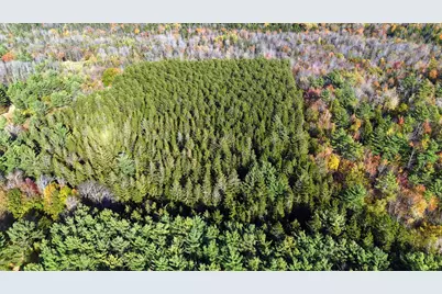 449 Holley Road, Farmington, ME 04938 - Photo 87