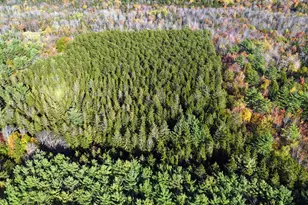 449 Holley Rd, Farmington, ME 04938 - Photo 87