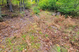 449 Holley Rd, Farmington, ME 04938 - Photo 105