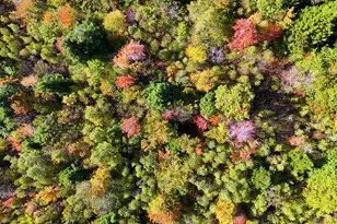 449 Holley Rd, Farmington, ME 04938 - Photo 103