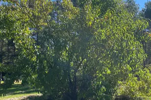 879 Hudson Rd, Glenburn, ME 04401 - Photo 47