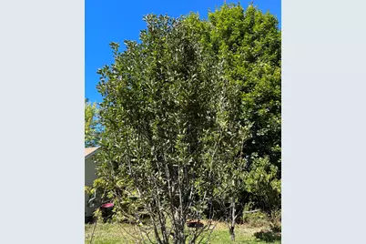 879 Hudson Road, Glenburn, ME 04401 - Photo 49