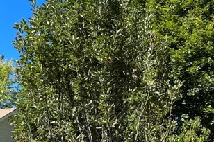 879 Hudson Rd, Glenburn, ME 04401 - Photo 49