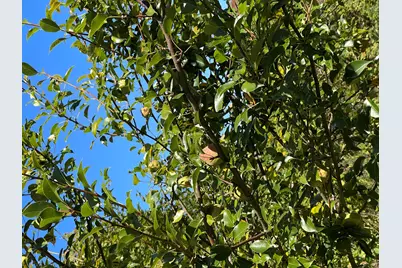 879 Hudson Road, Glenburn, ME 04401 - Photo 51