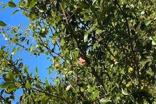 879 Hudson Rd, Glenburn, ME 04401 - Photo 51