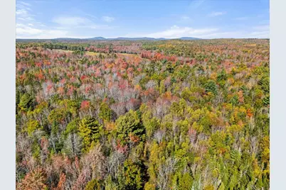 Lot #15 Toddy Pond Road, Surry, ME 04684 - Photo 11