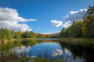 34 Frenchman's Hill E, Bar Harbor, ME 04609 - Photo 45