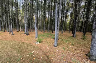 2620 ME-109, Acton, ME 04001 - Photo 31