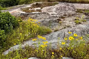 359 Lower Round Pond Rd, Bristol, ME 04539 - Photo 31