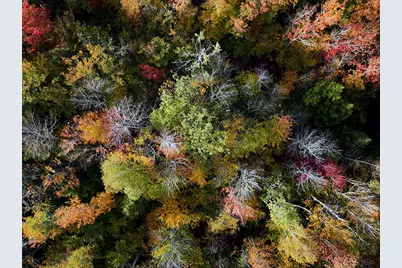 20 Kittridge Brook Road, West Paris, ME 04289 - Photo 7