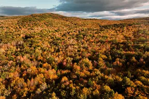 20 Kittridge Brook Rd, West Paris, ME 04289 - Photo 1