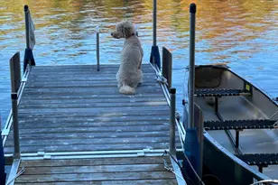 3 Wickup Ln, Sandy River Plt, ME 04970 - Photo 3