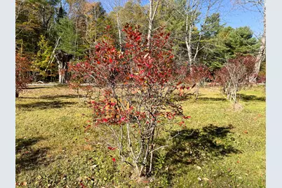 397 West Old Main Road, Lowell, ME 04493 - Photo 15