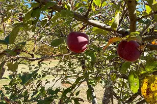 397 W Old Main Rd, Lowell, ME 04493 - Photo 29