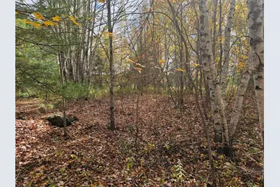 Map R09, Lot 12, Fox Run Drive, Mariaville, ME 04605 - Photo 7