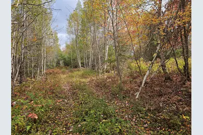 Map R09, Lot 12, Fox Run Drive, Mariaville, ME 04605 - Photo 3