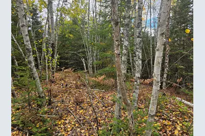 Map R09, Lot 12, Fox Run Drive, Mariaville, ME 04605 - Photo 23