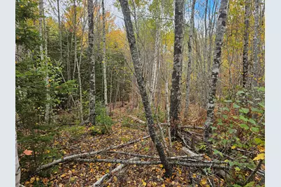 Map R09, Lot 12, Fox Run Drive, Mariaville, ME 04605 - Photo 21