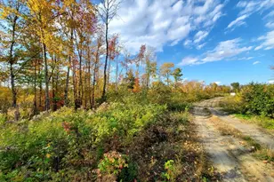 91 Greenleaf Brook Rd, Amity, ME 04730 - Photo 59