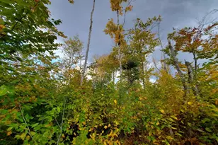 91 Greenleaf Brook Rd, Amity, ME 04730 - Photo 57