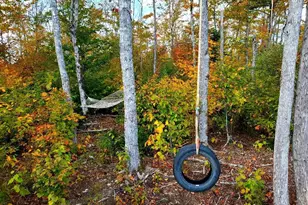 91 Greenleaf Brook Rd, Amity, ME 04730 - Photo 39