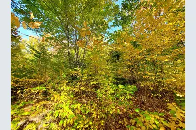 91 Greenleaf Brook Road, Amity, ME 04730 - Photo 61