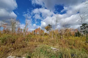 91 Greenleaf Brook Rd, Amity, ME 04730 - Photo 53