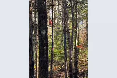 202 Ayers Junction Road, Pembroke, ME 04666 - Photo 43