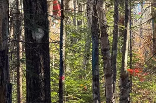 202 Ayers Junction Rd, Pembroke, ME 04666 - Photo 43