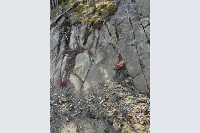 202 Ayers Junction Road, Pembroke, ME 04666 - Photo 13