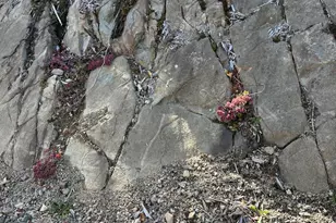 202 Ayers Junction Rd, Pembroke, ME 04666 - Photo 13