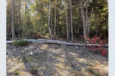 202 Ayers Junction Road, Pembroke, ME 04666 - Photo 3