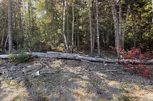 202 Ayers Junction Rd, Pembroke, ME 04666 - Photo 3