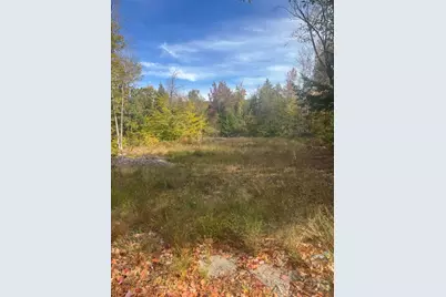 Lot 4 Hancock Pond Road, Sebago, ME 04029 - Photo 3