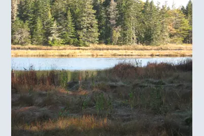 P/O 120 Wescogus Road, Addison, ME 04606 - Photo 7