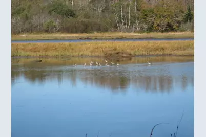 P/O 120 Wescogus Road, Addison, ME 04606 - Photo 1