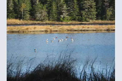 P/O 120 Wescogus Road, Addison, ME 04606 - Photo 13