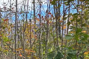 11 Penny Ln, Parsonsfield, ME 04047 - Photo 17