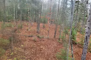 1698 Worcester Hwy, Kingsbury Plt, ME 04942 - Photo 73