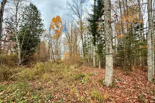 22 Pine Tree Shores, Alexander, ME 04694 - Photo 11