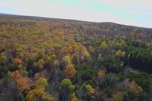 176 Millet Rd, Garland, ME 04939 - Photo 63