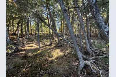 2 East Shore Road, Greenwood, ME 04497 - Photo 15