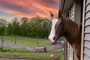 309 N Rd, Winterport, ME 04496 - Photo 89