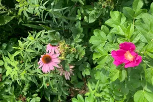 18 Belgrade Rd, Oakland, ME 04963 - Photo 49