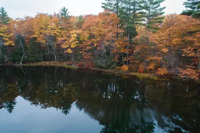 Tbd Blue Jay Way, Fayette, ME 04349 - Photo 41