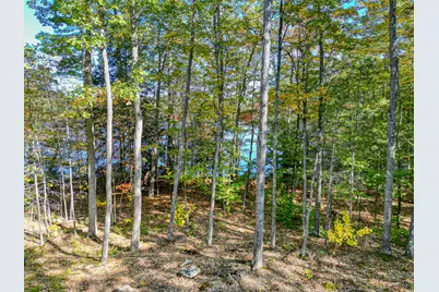 Tbd Blue Jay Way, Fayette, ME 04349 - Photo 23