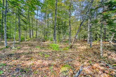 Tbd Blue Jay Way, Fayette, ME 04349 - Photo 33