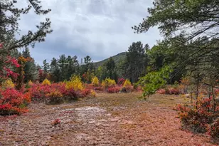 97 Pig St, Brownfield, ME 04010 - Photo 3