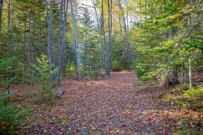80 Heather Lane, Hancock, ME 04640 - Photo 33