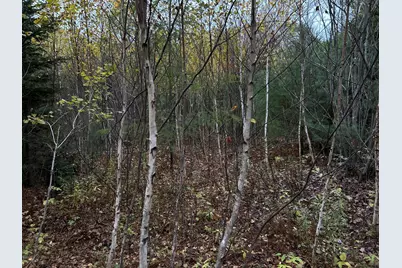 401 Genthner Road, Waldoboro, ME 04572 - Photo 17